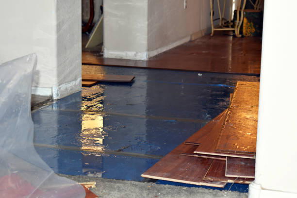 Professional Water Damage Restoration technician working in Findlay, OH